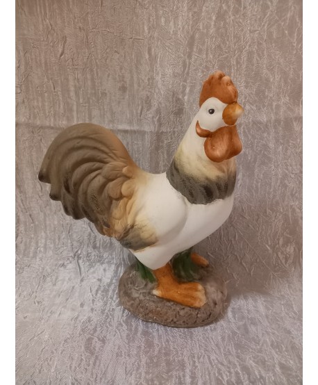 Coq