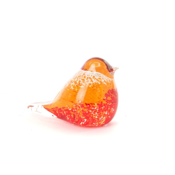 OISEAU ORANGE SULFURE